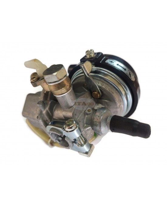 OEM Made in Japan Carburetor Carb Assy 523-60220-00 compatible for Robin Subaru EC02 NB223-253 Lawnmower Trimmer Engine