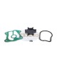 Boat Outboard Motor Replace Honda Outboard Water Pump Impeller Service Kit 25 & 30 HP (BF25 & BF30) Replaces 06192-ZV7-000 Sierra 18-3281 Engine